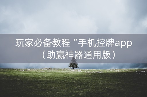 玩家必备教程“手机控牌app（助赢神器通用版）
