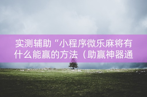 实测辅助“小程序微乐麻将有什么能赢的方法（助赢神器通用版）