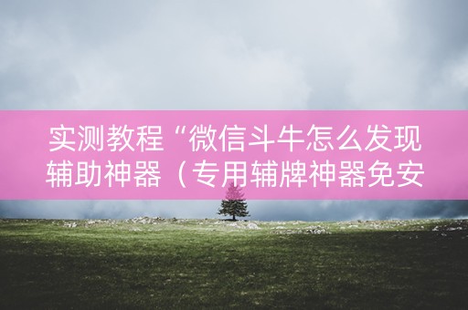 实测教程“微信斗牛怎么发现辅助神器（专用辅牌神器免安装）