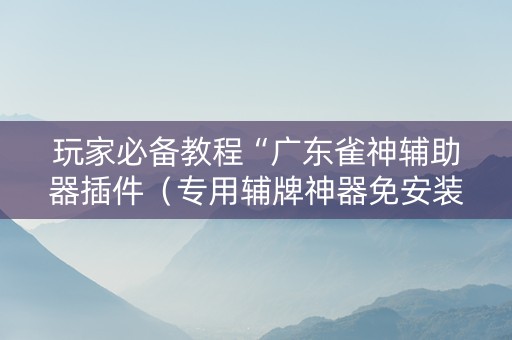 玩家必备教程“广东雀神辅助器插件（专用辅牌神器免安装）