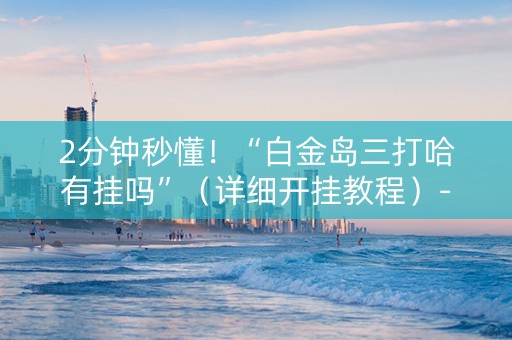2分钟秒懂！“白金岛三打哈有挂吗”（详细开挂教程）-哔哩哔哩