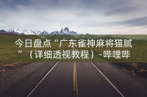 今日盘点“广东雀神麻将猫腻”（详细透视教程）-哔哩哔哩