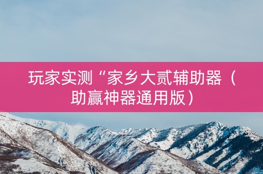 玩家实测“家乡大贰辅助器（助赢神器通用版）