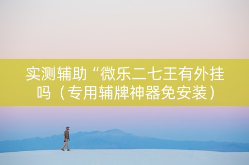 实测辅助“微乐二七王有外挂吗（专用辅牌神器免安装）