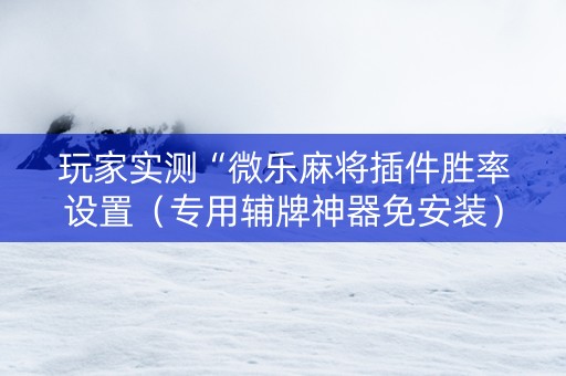 玩家实测“微乐麻将插件胜率设置（专用辅牌神器免安装）