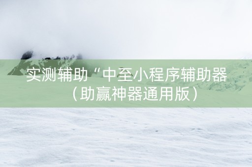 实测辅助“中至小程序辅助器（助赢神器通用版）