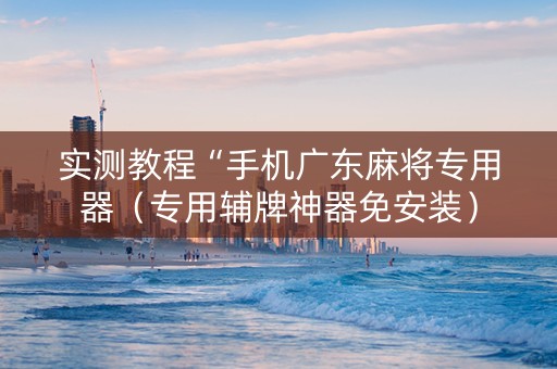 实测教程“手机广东麻将专用器（专用辅牌神器免安装）