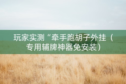 玩家实测“牵手跑胡子外挂（专用辅牌神器免安装）