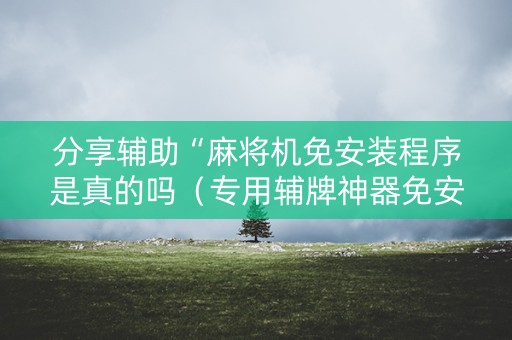 分享辅助“麻将机免安装程序是真的吗（专用辅牌神器免安装）