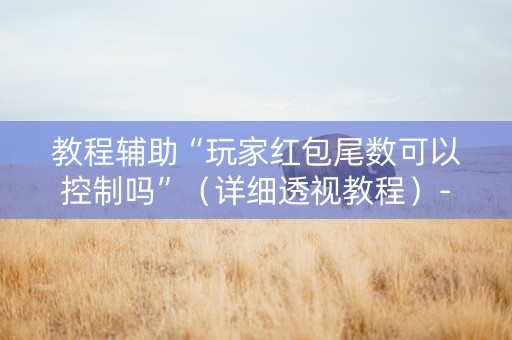 教程辅助“玩家红包尾数可以控制吗”（详细透视教程）-哔哩哔哩