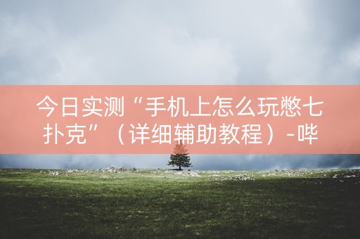 今日实测“手机上怎么玩憋七扑克”（详细辅助教程）-哔哩哔哩