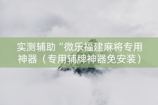 实测辅助“微乐福建麻将专用神器（专用辅牌神器免安装）