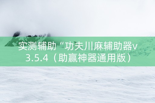 实测辅助“功夫川麻辅助器v3.5.4（助赢神器通用版）