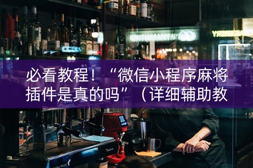 必看教程！“微信小程序麻将插件是真的吗”（详细辅助教程）-哔哩哔哩