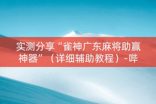 实测分享“雀神广东麻将助赢神器”（详细辅助教程）-哔哩哔哩