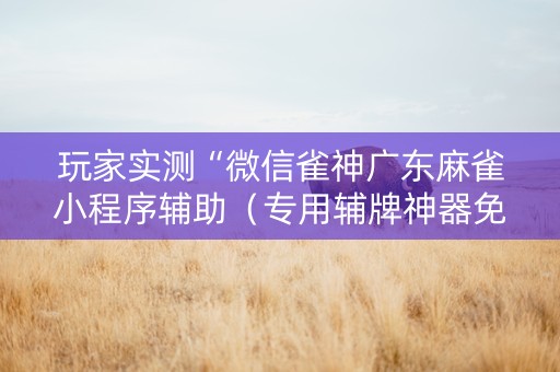 玩家实测“微信雀神广东麻雀小程序辅助（专用辅牌神器免安装）