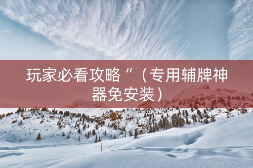 玩家必看攻略“（专用辅牌神器免安装）