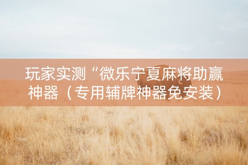 玩家实测“微乐宁夏麻将助赢神器（专用辅牌神器免安装）