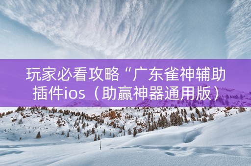 玩家必看攻略“广东雀神辅助插件ios（助赢神器通用版）