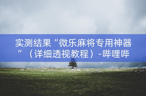 实测结果“微乐麻将专用神器”（详细透视教程）-哔哩哔哩