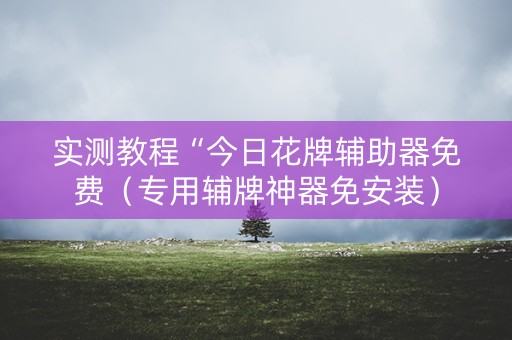 实测教程“今日花牌辅助器免费（专用辅牌神器免安装）