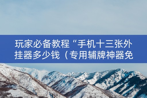 玩家必备教程“手机十三张外挂器多少钱（专用辅牌神器免安装）