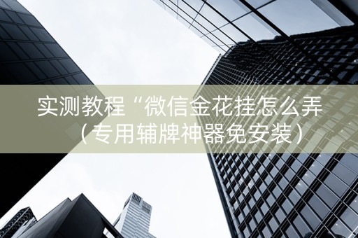 实测教程“微信金花挂怎么弄（专用辅牌神器免安装）