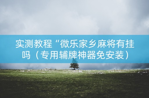实测教程“微乐家乡麻将有挂吗（专用辅牌神器免安装）