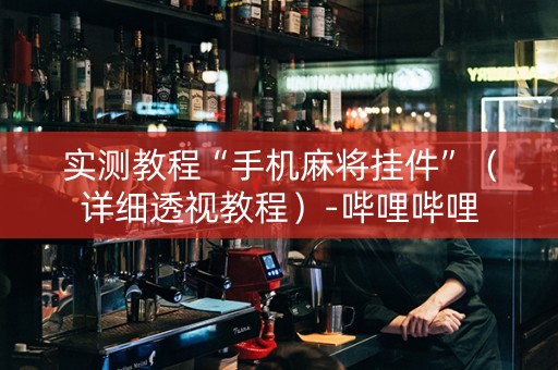 实测教程“手机麻将挂件”（详细透视教程）-哔哩哔哩
