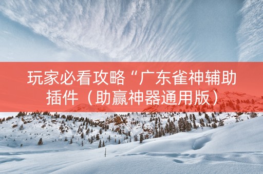 玩家必看攻略“广东雀神辅助插件（助赢神器通用版）