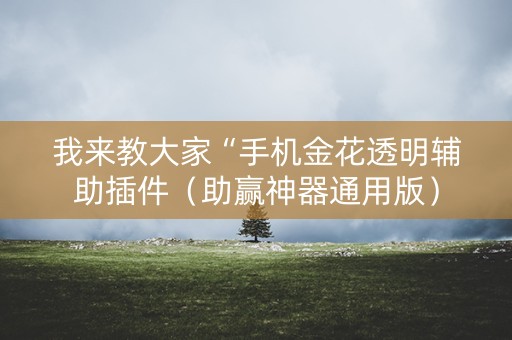 我来教大家“手机金花透明辅助插件（助赢神器通用版）