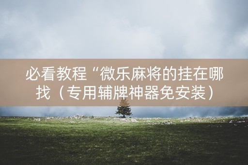 必看教程“微乐麻将的挂在哪找（专用辅牌神器免安装）