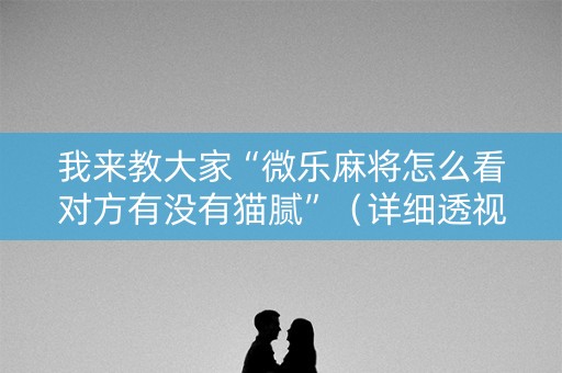 我来教大家“微乐麻将怎么看对方有没有猫腻”（详细透视教程）-哔哩哔哩