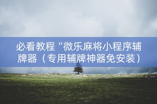 必看教程“微乐麻将小程序辅牌器（专用辅牌神器免安装）
