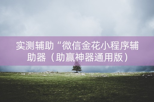 实测辅助“微信金花小程序辅助器（助赢神器通用版）