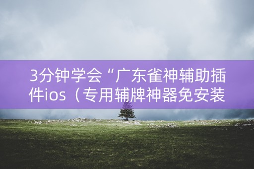 3分钟学会“广东雀神辅助插件ios（专用辅牌神器免安装）