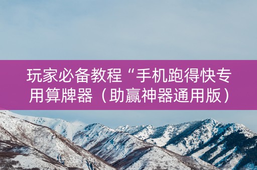 玩家必备教程“手机跑得快专用算牌器（助赢神器通用版）