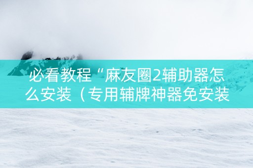 必看教程“麻友圈2辅助器怎么安装（专用辅牌神器免安装）