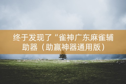 终于发现了“雀神广东麻雀辅助器（助赢神器通用版）
