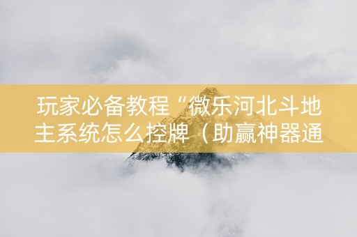 玩家必备教程“微乐河北斗地主系统怎么控牌（助赢神器通用版）