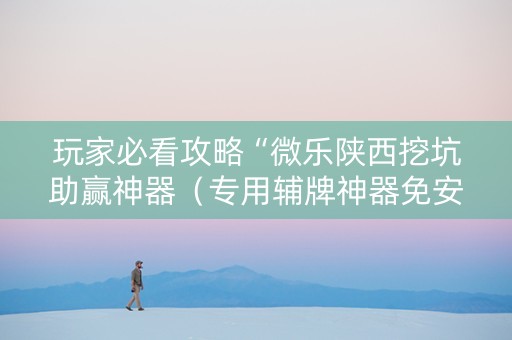 玩家必看攻略“微乐陕西挖坑助赢神器（专用辅牌神器免安装）