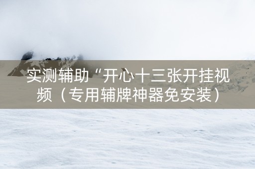 实测辅助“开心十三张开挂视频（专用辅牌神器免安装）