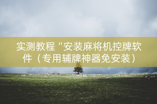 实测教程“安装麻将机控牌软件（专用辅牌神器免安装）