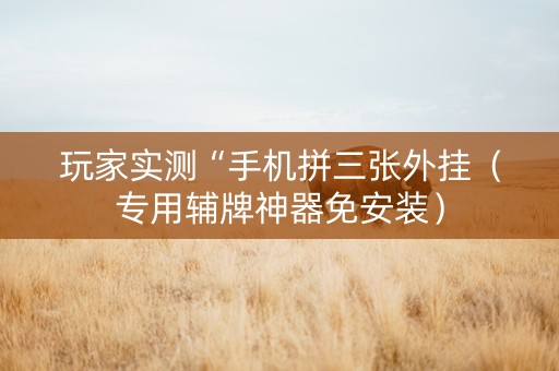 玩家实测“手机拼三张外挂（专用辅牌神器免安装）