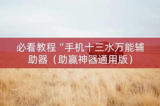 必看教程“手机十三水万能辅助器（助赢神器通用版）