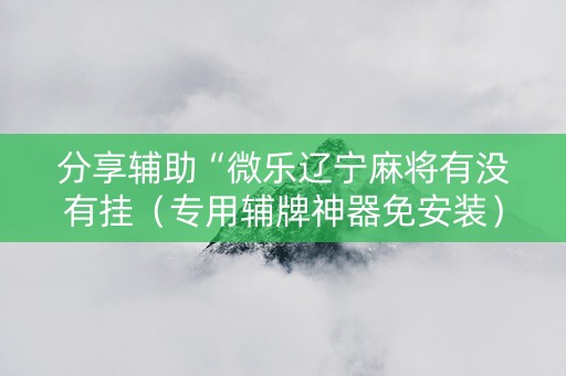 分享辅助“微乐辽宁麻将有没有挂（专用辅牌神器免安装）