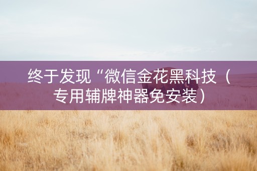 终于发现“微信金花黑科技（专用辅牌神器免安装）