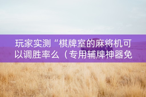 玩家实测“棋牌室的麻将机可以调胜率么（专用辅牌神器免安装）
