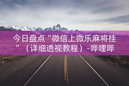 今日盘点“微信上微乐麻将挂”（详细透视教程）-哔哩哔哩