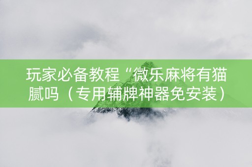 玩家必备教程“微乐麻将有猫腻吗（专用辅牌神器免安装）